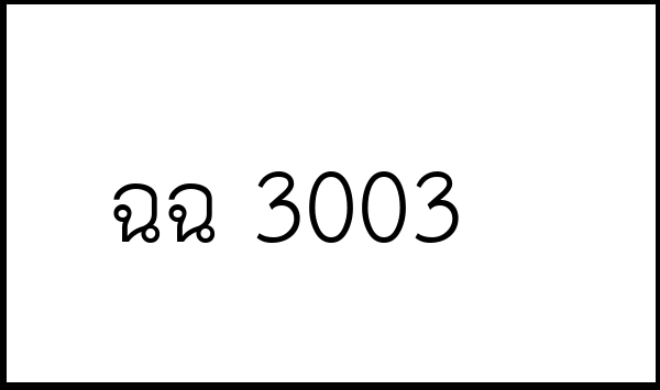 ฉฉ 3003